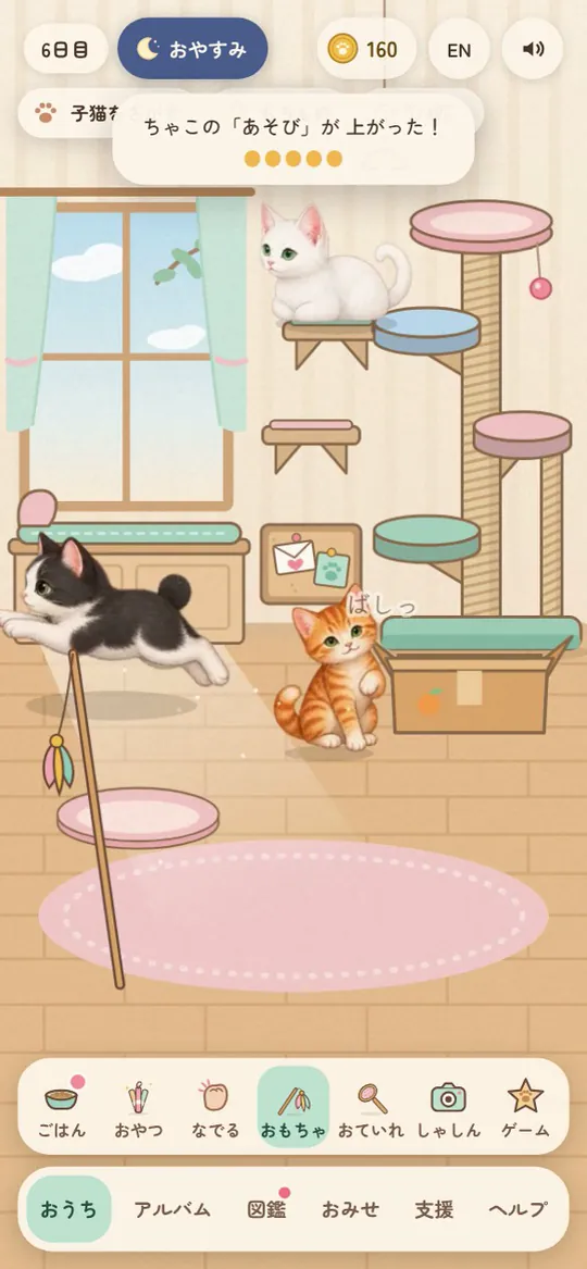 おうちで子猫と猫じゃらしで遊ぶ画面