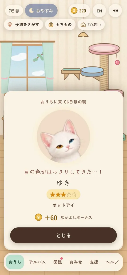 オッドアイの白猫のランクが発表された画面